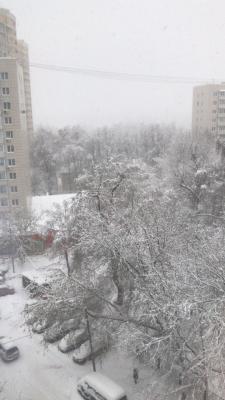 Прикрепленное изображение: снег1.jpg